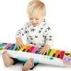 Hape – Baby Einstein – Magic Touch Keybord muzikinis žaislas (800891)