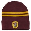 Kepurė Harry Potter Haris Poteris Beanie Grifindoras