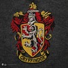 Distrineo SAS Harry Potter - Gryffindor - Pilkas Knitted Sweater - Large