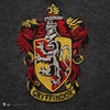 Distrineo Sas Harry Potter Haris Poteris - Grifai - Pilkas megztinis - Vidutinio dydžio