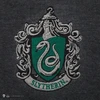 Vision Harry Potter Haris Poteris - Slytherin - pilkas megztinis - didelis