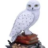 Nemesis Now Harry Potter Hedwig figūrėlė 22cm