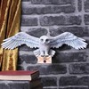 Harry Potter apie 281 Hedwig sienos plokštelė 45cm