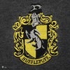 Harry Potter Haris Poteris - Švilpynė - Pilkas megztinis - Mažas