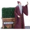 Nemesis Now Harry Potter Privet Drive apšvietimo figūrėlė