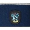 Vision Harry Potter Hario Poterio skara Ravenclaw