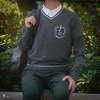 Vision Harry Potter Haris Poteris - Slytherin - pilkas megztinis - vidutinio dydžio