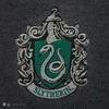 Vision Harry Potter Haris Poteris - Slytherin - pilkas megztinis - vidutinio dydžio