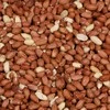 „Hobby First“ – nulupti žemės riešutai – 5kg
