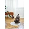 Hunter - Dogbowl keramikinis Osby 350 ml, taupe - (68983)
