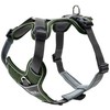 Hunter - Harness Divo L, žalias/pilkas - (67593)