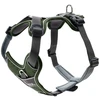 Hunter - Harness Divo L, žalias/pilkas - (67593)