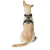 Hunter - Harness Divo L, žalias/pilkas - (67593)