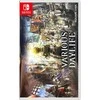 Įvairus dienos gyvenimas (anglų k.) – Nintendo jungiklis