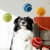 Kong - Sport Softies kamuoliukai S, 3 vnt. pakuotėje, mišrus, Ø5 cm