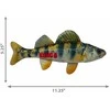 KONG - Wild Shieldz Perch M 28x7,5x5cm