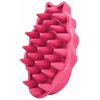 KONG - ZoomGroom - Raspberry