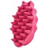 KONG - ZoomGroom - Raspberry