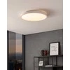 Pakabinamas šviestuvas EGLO – Montemorelos-Z palėpės lempa balta su krištolo efektu Ø57 – RGB + TW – Zigbee, Bluetooth