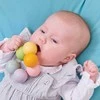 Le Toy Van Rutuliukai besikalantiems dantukams