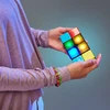 Liniex Flipside Game (70121)