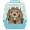 Little Live Pets - My Really Real Puppy - Curley (26612)