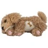 Little Live Pets - Mano Tikrai Tikras Šuniukas - Curley (26612)