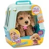 Little Live Pets - My Really Real Puppy - Curley (26612)