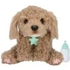 Little Live Pets - My Really Real Puppy - Curley (26612)