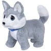 Little Live Pets Maži gyvi augintiniai – Ouchies Husky (26680)
