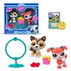 Littlest Petshop Littlest Pet Shop – Pet Pair Ass (00620)