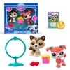 Littlest Petshop Littlest Pet Shop – Pet Pair Ass (00620)