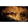 Microïds Empire of Ants PS5