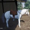 Mindscape „Mano gyvenimo ūkio veterinaras“ – „PlayStation 5“.