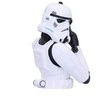 Nemesis Now Stormtrooper biustas (mažas) 14,2 cm