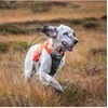 NON STOP - Non-Stop Protector Vest - Oranžinis - XL