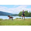 Non-Stop - Running Belt Canix 2.0 - Juodas - L