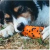Non-Stop - Throwing Toy - Oranžinis/juodas - one size