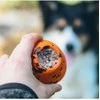 Non-Stop - Throwing Toy - Oranžinis/juodas - one size
