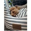 Nordic Paws Nordic lets - Bailey šuns guolis - pilkas - S