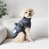 Nordic Paws Šiaurietiškos letenėlės - Thor kailis su petnešomis 35cm - Antracitas - S