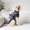 Nordic paws - Šuns kailis Thor su petnešomis 45cm - Antracitas - L