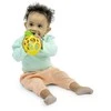 OBALL - Pineapple Oball - (OB-16759)