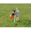 „Jolly Pets“ – „Ball Bounce-n Play“ 15 cm Oranžinis (vanilės kvapas) – (JOLL068G)