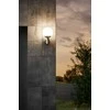 EGLO - Nisia-Z lauko sieninis šviestuvas iš nerūdijančio plieno ir baltas - RGB + TW - Zigbee, Bluetooth