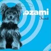 OZAMI – vidutinio ilgio kailis, šiurkštus 37 dantys – (641.1162)