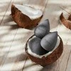 Parsa – Beauty Make-Up Egg Coconut Pilkas