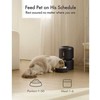 Petlibro – Granary automatinis šėrykla 3L Juodas-Uk&amp;Eu adapteris (PL-AF005-91B)
