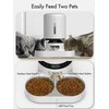 Petlibro – Granary dvigubas maisto padėklas 5L Baltas-Uk&amp;Eu adapteris (PL-AF006-93W)