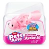 Pets Alive Gyvi gyvūnai – „Swimming Axolotl“ (9556UQ1)